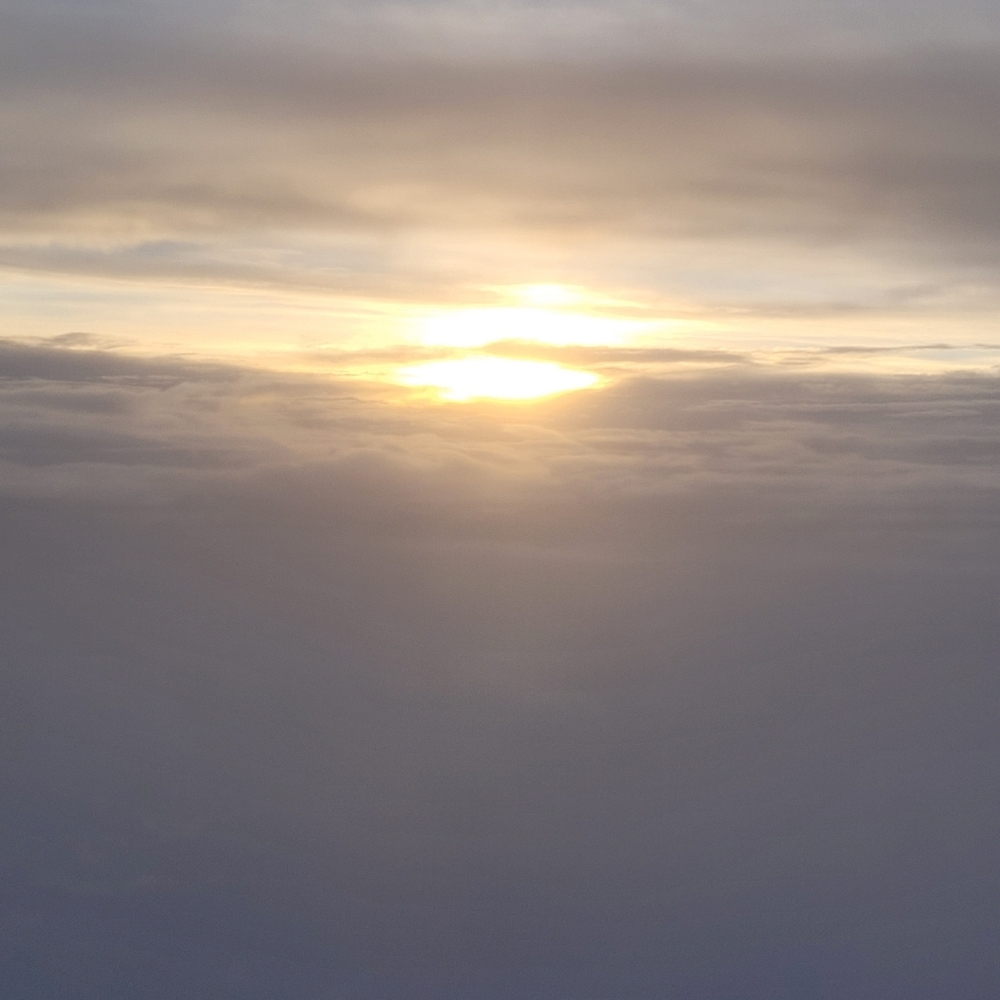 🩷🩷LIVE SHOW UNLISTED ITEMS🩷🩷